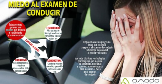 ansiedad, examen de conducir
